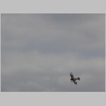 Flugtag _Lehrte_2010_205.jpg